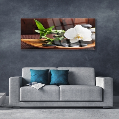 Plexiglas schilderij Bamboo zen white orchid