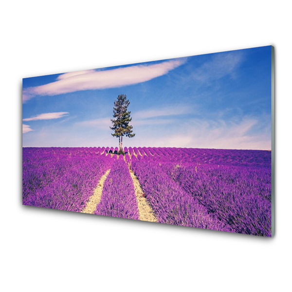 Print op plexiglas Gebied van de lavendel weide tree