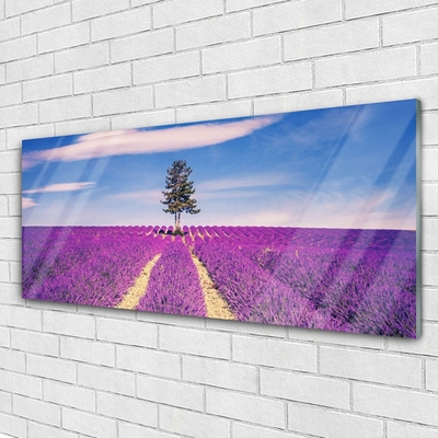 Print op plexiglas Gebied van de lavendel weide tree