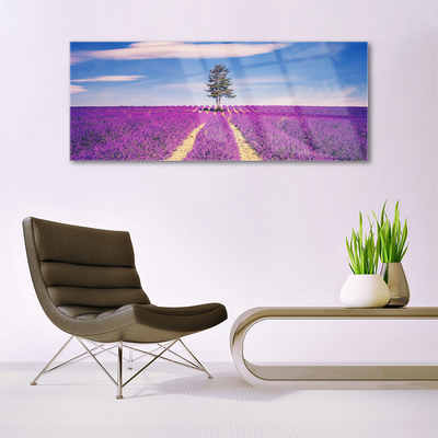 Print op plexiglas Gebied van de lavendel weide tree