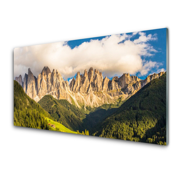 Print op plexiglas Toppen bergen wolken forest meadow