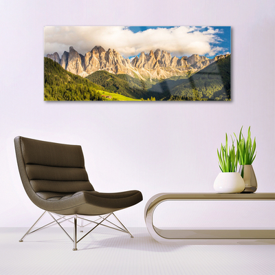 Print op plexiglas Toppen bergen wolken forest meadow