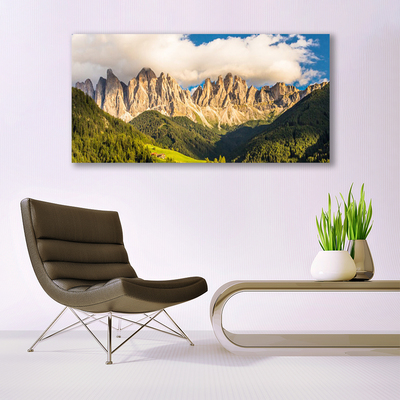 Print op plexiglas Toppen bergen wolken forest meadow