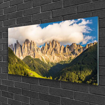 Print op plexiglas Toppen bergen wolken forest meadow