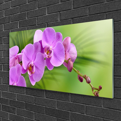 Print op plexiglas Orchidee orchidee bloemen