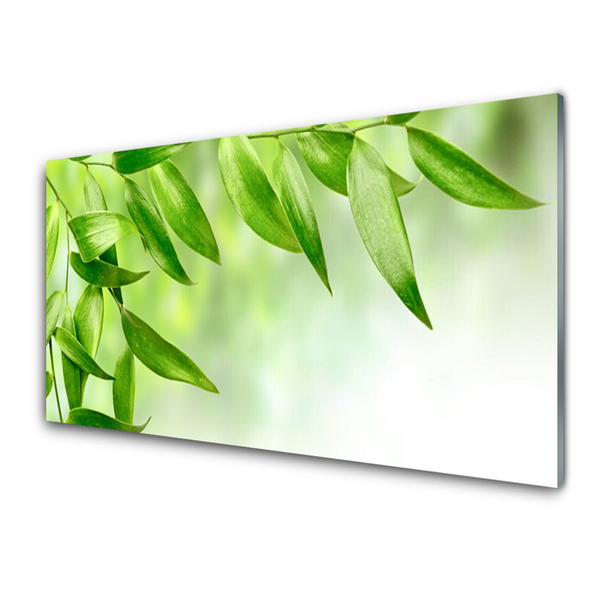 Print op plexiglas Green leaves nature