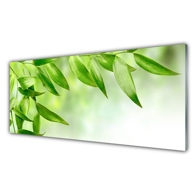 Print op plexiglas Green leaves nature