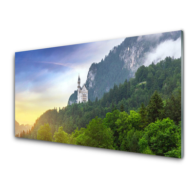 Print op plexiglas Castle in the mountains bos landschap