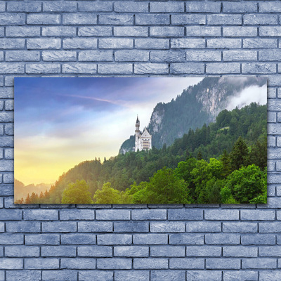 Print op plexiglas Castle in the mountains bos landschap