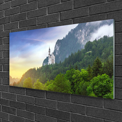 Print op plexiglas Castle in the mountains bos landschap