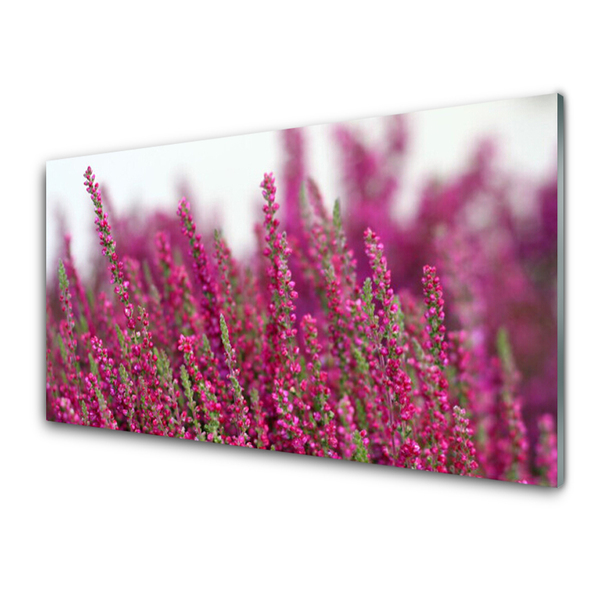 Print op plexiglas Bloemen weide natuur plant