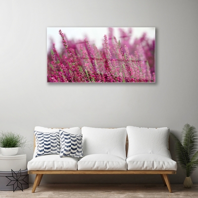 Print op plexiglas Bloemen weide natuur plant