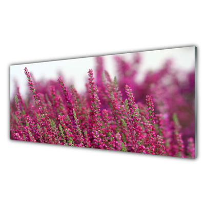 Print op plexiglas Bloemen weide natuur plant