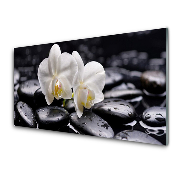 Print op plexiglas Zen white orchid spa