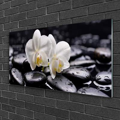 Print op plexiglas Zen white orchid spa