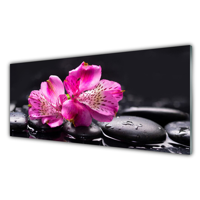 Print op plexiglas Bloemen stenen zen spa
