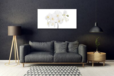 Print op plexiglas Witte bloemen van de orchidee