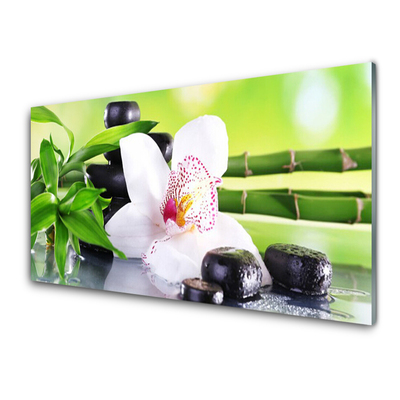 Print op plexiglas Orchid bladeren van het bamboe