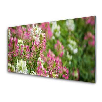 Print op plexiglas Bloemen wilde weide natuur