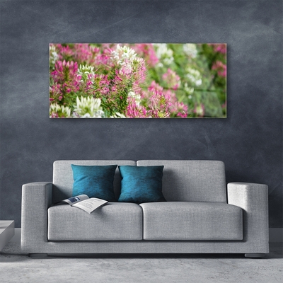 Print op plexiglas Bloemen wilde weide natuur