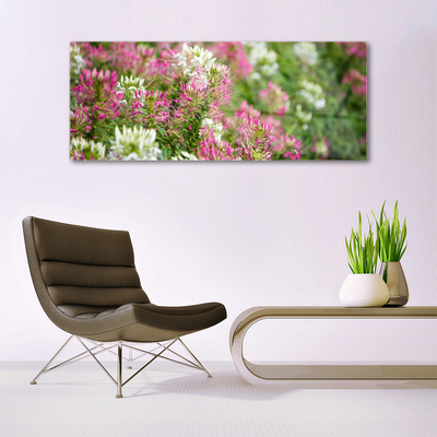 Print op plexiglas Bloemen wilde weide natuur