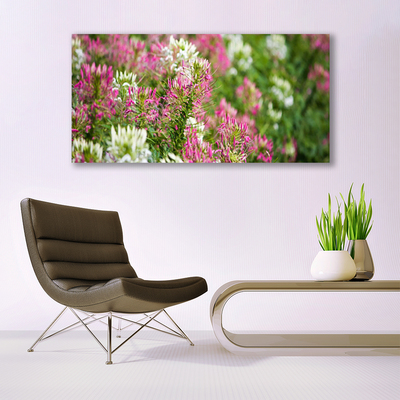 Print op plexiglas Bloemen wilde weide natuur