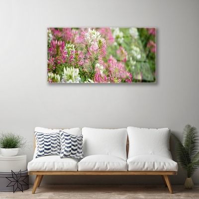 Print op plexiglas Bloemen wilde weide natuur