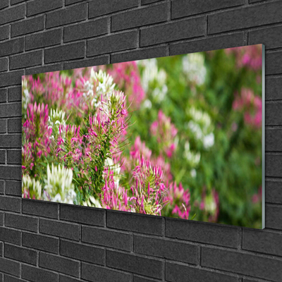 Print op plexiglas Bloemen wilde weide natuur