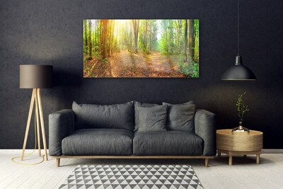 Print op plexiglas Zon forest nature path