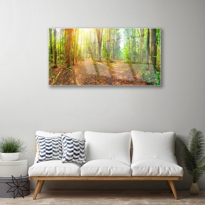 Print op plexiglas Zon forest nature path