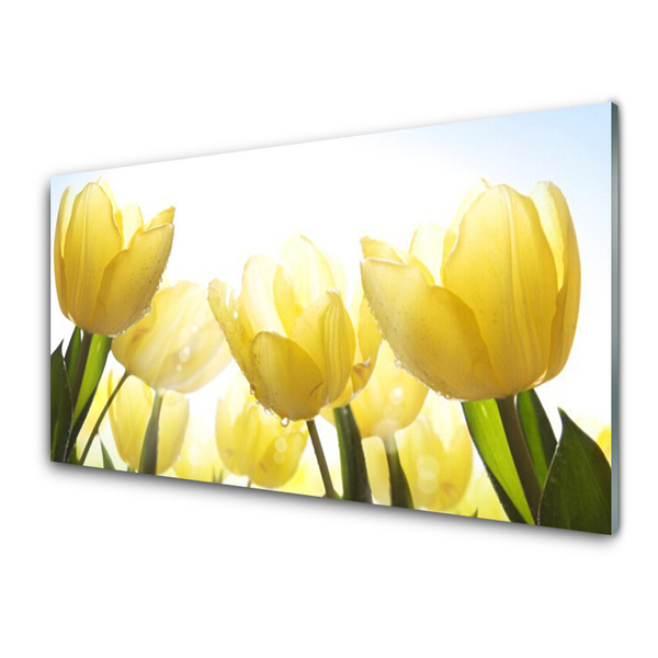 Print op plexiglas Tulpen bloemen stralen