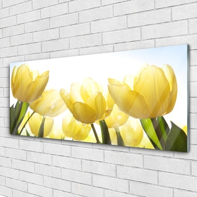 Print op plexiglas Tulpen bloemen stralen