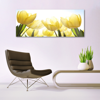 Print op plexiglas Tulpen bloemen stralen