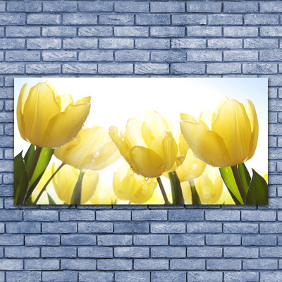 Print op plexiglas Tulpen bloemen stralen