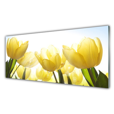 Print op plexiglas Tulpen bloemen stralen