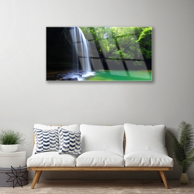 Print op plexiglas Natuur van de waterval forest lake