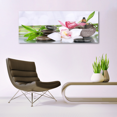 Print op plexiglas Bamboo orchid flowers