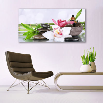 Print op plexiglas Bamboo orchid flowers