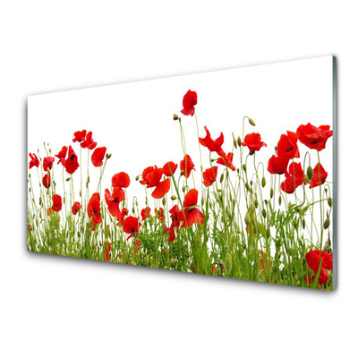 Print op plexiglas Klaprozen bloemen weide natuur