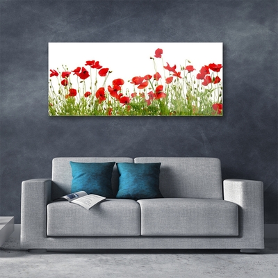 Print op plexiglas Klaprozen bloemen weide natuur