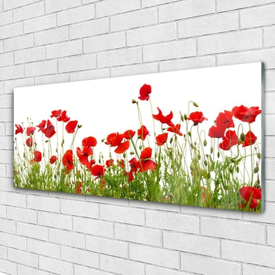 Print op plexiglas Klaprozen bloemen weide natuur