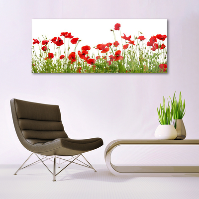 Print op plexiglas Klaprozen bloemen weide natuur