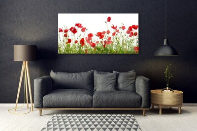 Print op plexiglas Klaprozen bloemen weide natuur