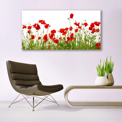 Print op plexiglas Klaprozen bloemen weide natuur