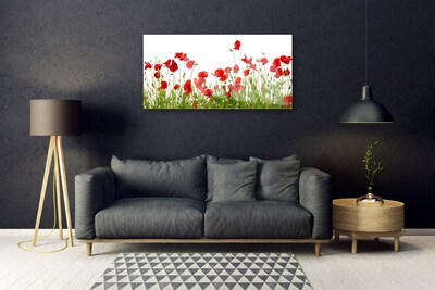 Print op plexiglas Klaprozen bloemen weide natuur