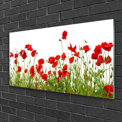 Print op plexiglas Klaprozen bloemen weide natuur