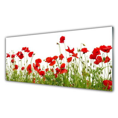 Print op plexiglas Klaprozen bloemen weide natuur