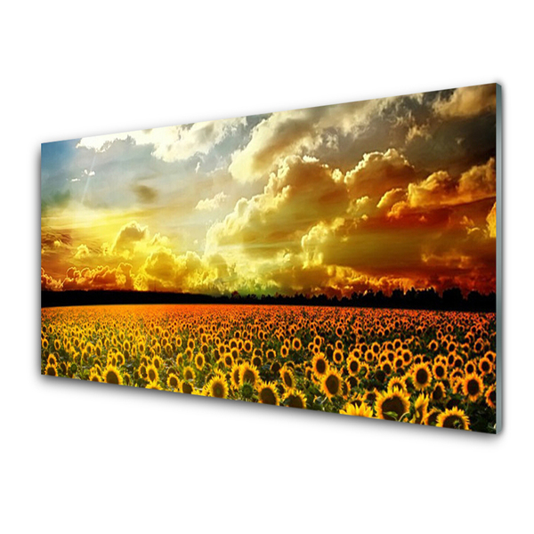 Print op plexiglas Gebied van zonnebloemen landscape