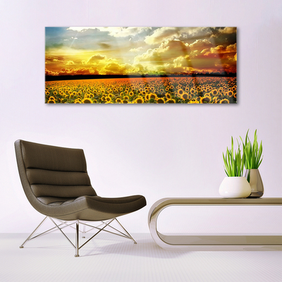 Print op plexiglas Gebied van zonnebloemen landscape