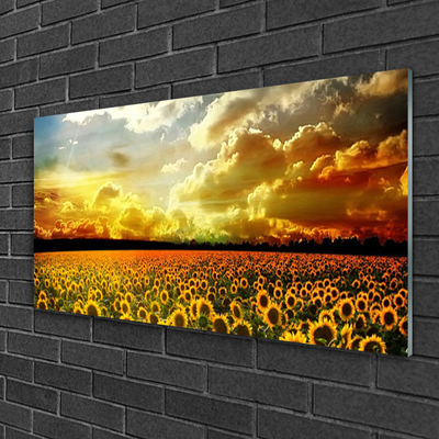 Print op plexiglas Gebied van zonnebloemen landscape